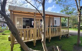 Mobil-Home 5 Pers Climatise - Plage Et Foret - Camping Les Oyats Seignosse
